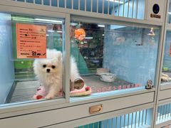 -FAELING PETS美天灵宠物(合生汇店)