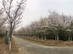 -上海海湾国家森林公园