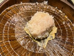 大力丸-风波庄(罍街分舵)