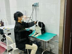 -瑞鹏宠物医院·爱宠堂·骨外专科(西荷分院)