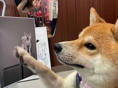 -PHOTOWITH 自助照相馆
