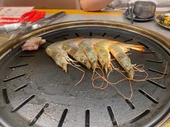 -杨小佳·齐齐哈尔烤肉·烤串(广州店)