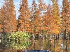 -白鹭湾湿地公园