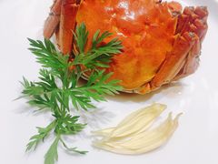 -扬州狮子楼·非遗淮扬菜(总店)