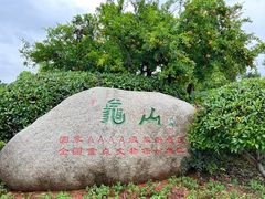-徐州龟山景区