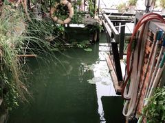 -水岸居湖景农家乐·阳澄湖大闸蟹