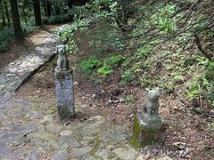 -四明山国家森林公园