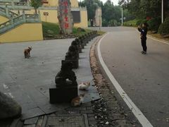 -南京市江宁方山