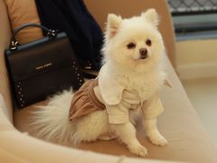 -怪兽屋·羊驼·猫咖·狗咖(俊华广场店)