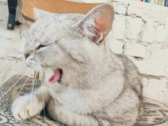 -不舍昼夜咖啡馆