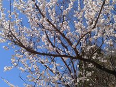 -北京雁栖湖国际会展中心