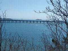 -星海湾跨海大桥