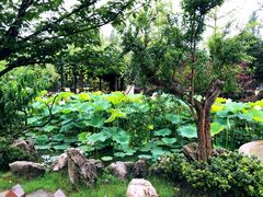 -洪湖家庭农场·团建·露营·会议