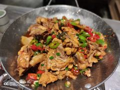 口味鸡干锅-壹盏灯(惠农店)