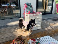 -小意思咖啡店(草桥店)
