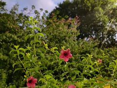 -人民公园(罗湖区)