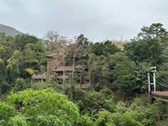 -西双版纳原始森林公园