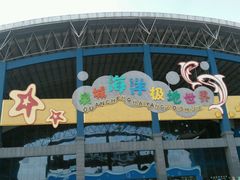 -泉城欧乐堡海洋极地世界
