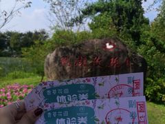 -鹅湖玫瑰文化园
