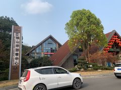 -铁山坪森林公园