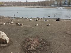 -长春市南湖公园