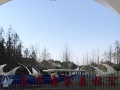 -东平国家森林公园