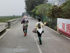 -北海金海湾红树林生态旅游区