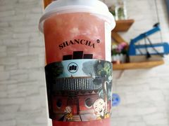 -雾与山茶(大禹城店)