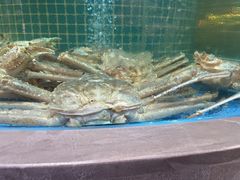 -大众海鲜(巨龙北路店)