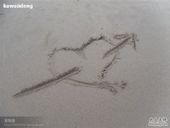 -西涌国际滨海旅游区