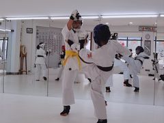 -极真空手道修远道场