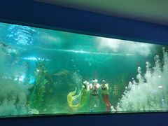 -聊城海底世界