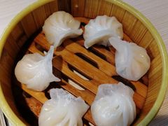 -胖锅轩(水塔店)