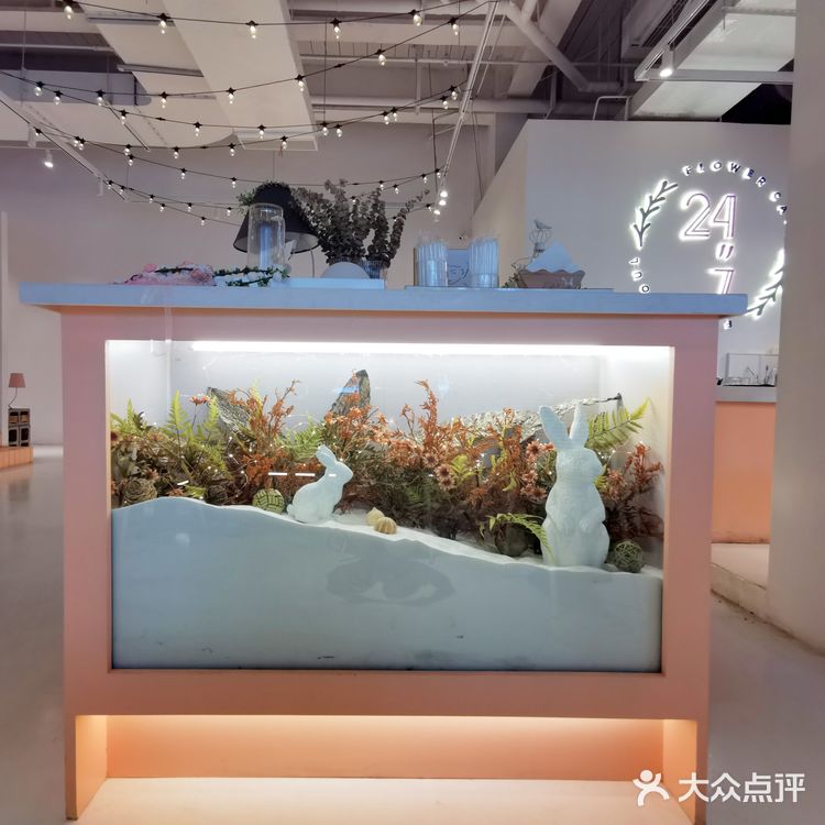 🧡魔都首家花草系列咖啡厅|连迪丽热巴都夸奖的一家神仙颜值咖