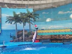 -海合安成都极地海洋公园