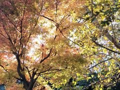 -苏州河梦清园环保主题公园