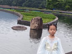 -千岛湖-欢乐水世界