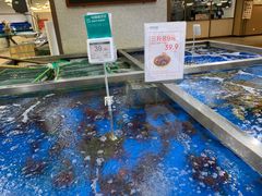 水产区-七鲜超市(万向城店)