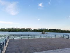 -大兴滨河森林公园