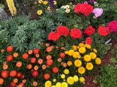 -东莞植物园