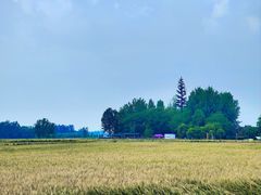 -中国天府农业博览园