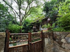 -中国茶叶博物馆(双峰馆区)