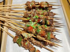 -山野的朋友露营炭火烤肉