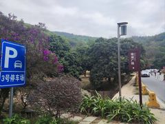 -东莞市大岭山森林公园