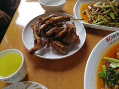 -功夫兔