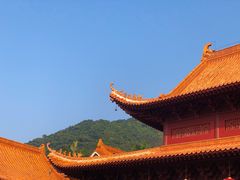 -深圳仙湖植物园