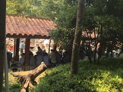 -九曲溪漂流