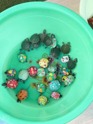 -萌宠亲子动物乐园(槐房万达店)