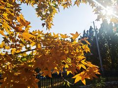 -元大都城垣遗址公园