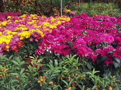 -大家乐(中山天悦城店)